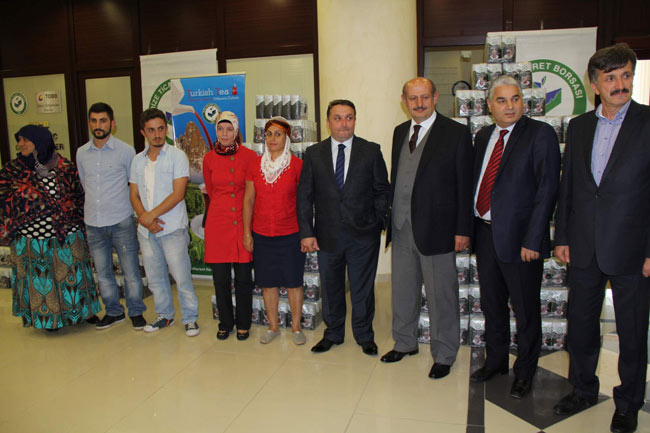 cay1.20130924225712.jpg cay1.20130924225712.jpg