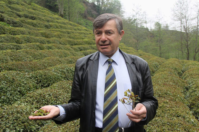 cay1.20140407130516.jpg cay1.20140407130516.jpg