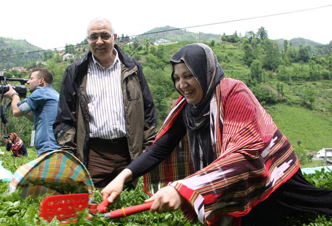 cay11.20130512203404.jpg cay11.20130512203404.jpg