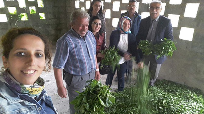 cay2-006.jpg cay2-006.jpg