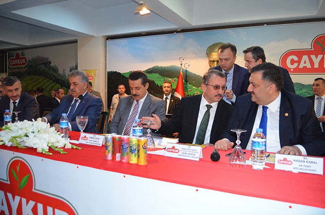 cay2-007.jpg cay2-007.jpg