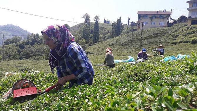 cay2-008.jpg cay2-008.jpg