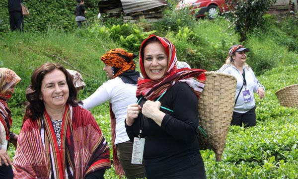 cay2.20130512201623.jpg cay2.20130512201623.jpg