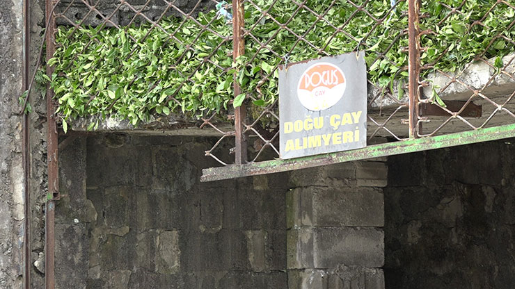 cay3-055.jpg