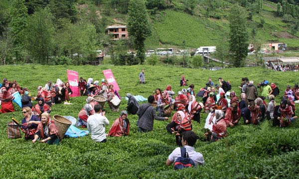 cay3.20130512201652.jpg cay3.20130512201652.jpg