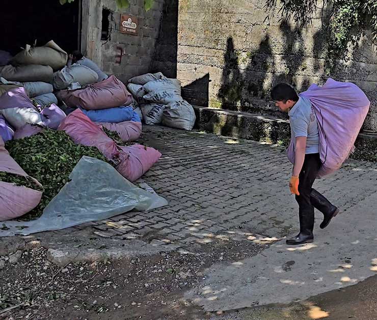 cayalimyeri4.jpg