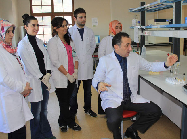 cayeks.jpg cayeks.jpg