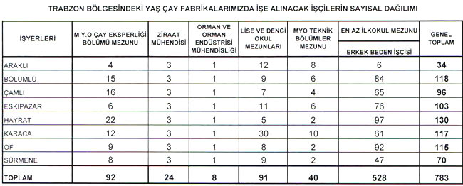 caykur2.20150415135432.jpg caykur2.20150415135432.jpg