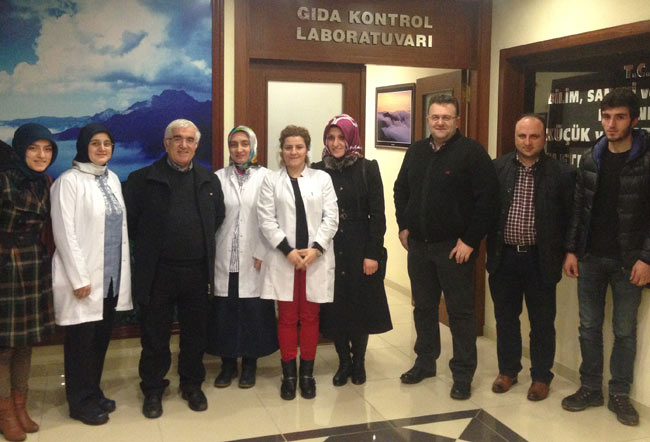 caytadim1a.jpg caytadim1a.jpg