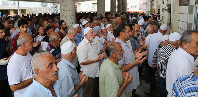 cen1-007.jpg cen1-007.jpg