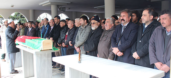 cen2-004.jpg cen2-004.jpg