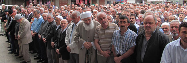 cen2.20130513102321.jpg cen2.20130513102321.jpg