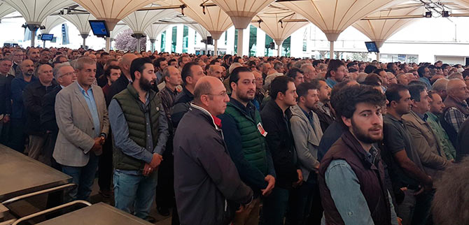 cen3-006.jpg cen3-006.jpg