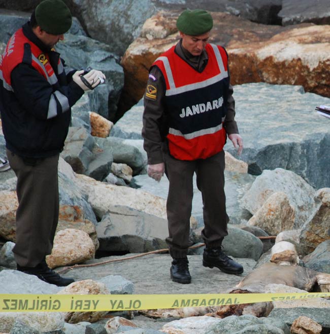 cesettt.jpg cesettt.jpg