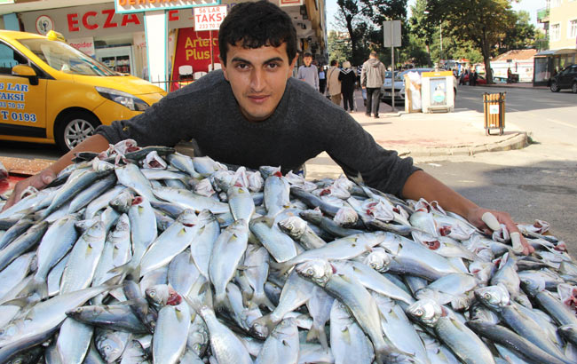 cinakop1.jpg cinakop1.jpg