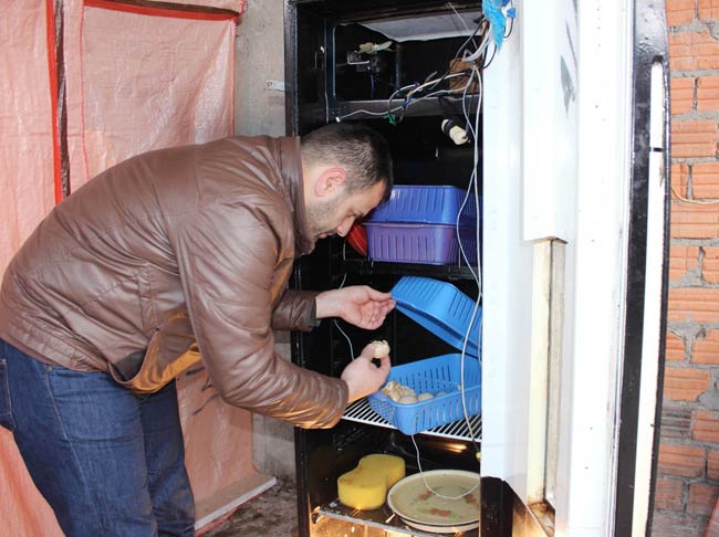 civciv02.jpg civciv02.jpg