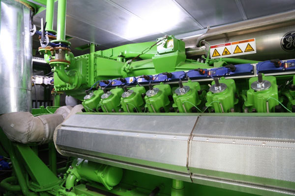 cop1-001.jpg cop1-001.jpg