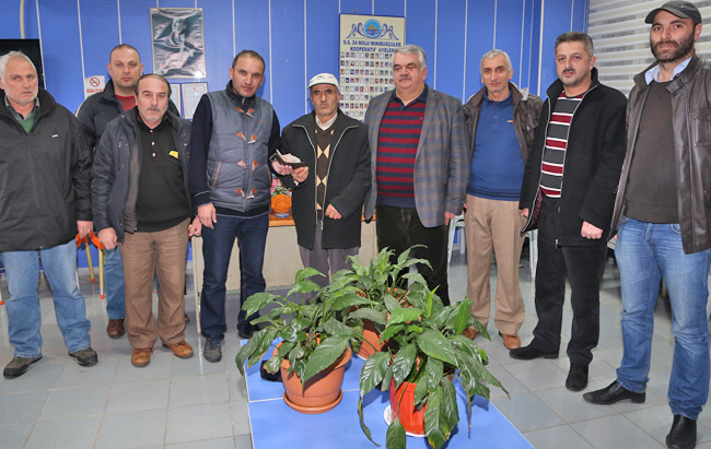 dolmus01.jpg dolmus01.jpg