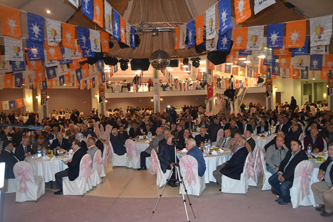 dsc_0218.jpg dsc_0218.jpg