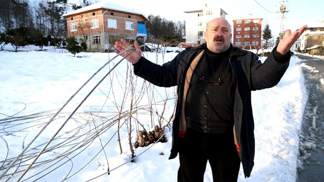 elekt5.jpg elekt5.jpg