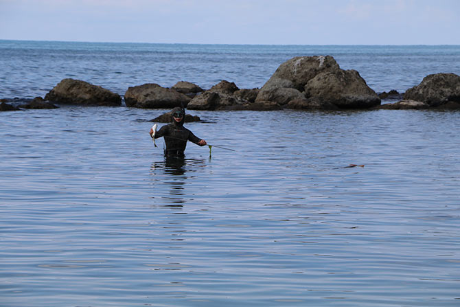 engel2-004.jpg engel2-004.jpg