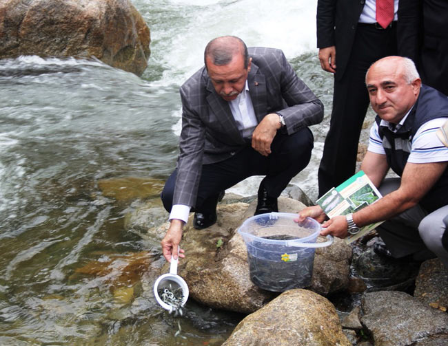 erd.20130826234210.jpg erd.20130826234210.jpg