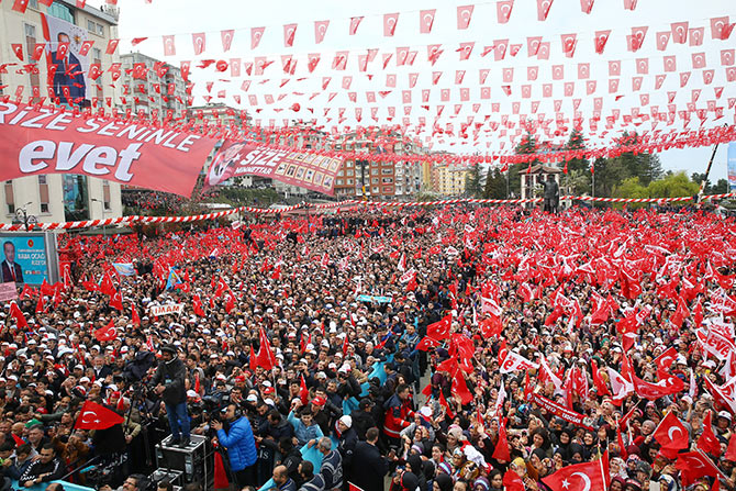 erd1-004.jpg erd1-004.jpg