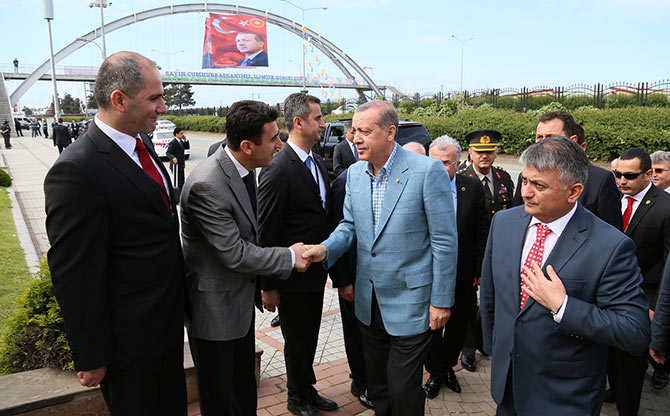 erd11-001.jpg erd11-001.jpg