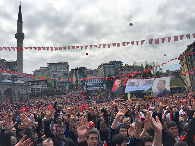 erd8-001.jpg erd8-001.jpg