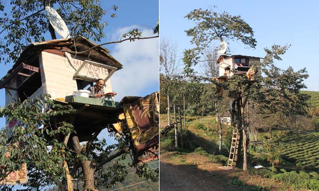 ev1.20121121162927.jpg ev1.20121121162927.jpg