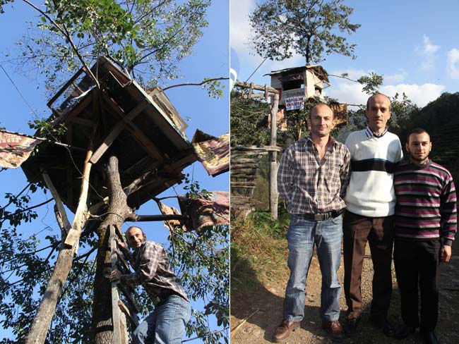 ev2.20121121162912.jpg ev2.20121121162912.jpg