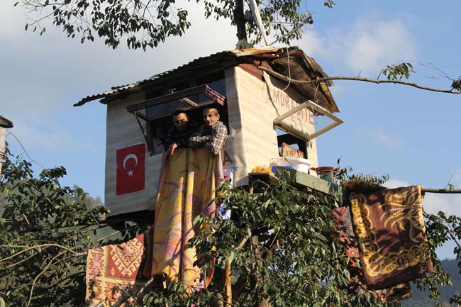 ev3.20121121162855.jpg ev3.20121121162855.jpg