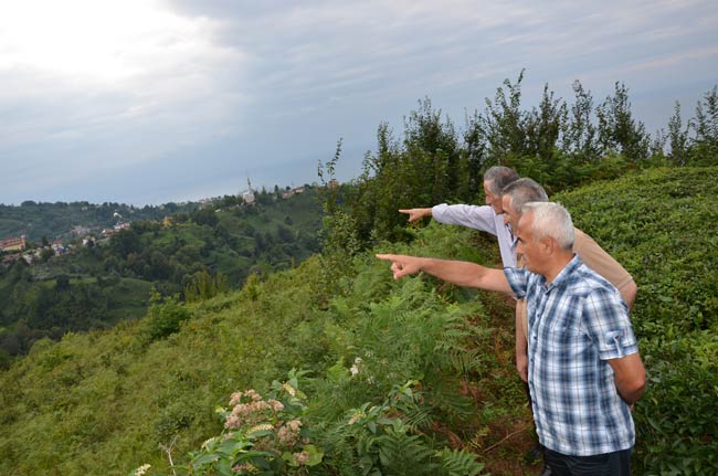 fab3.20130901163120.jpg fab3.20130901163120.jpg