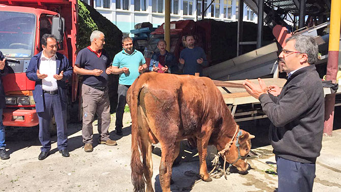 fabr14.jpg fabr14.jpg