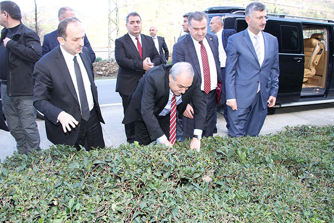 fakibaba1.jpg fakibaba1.jpg