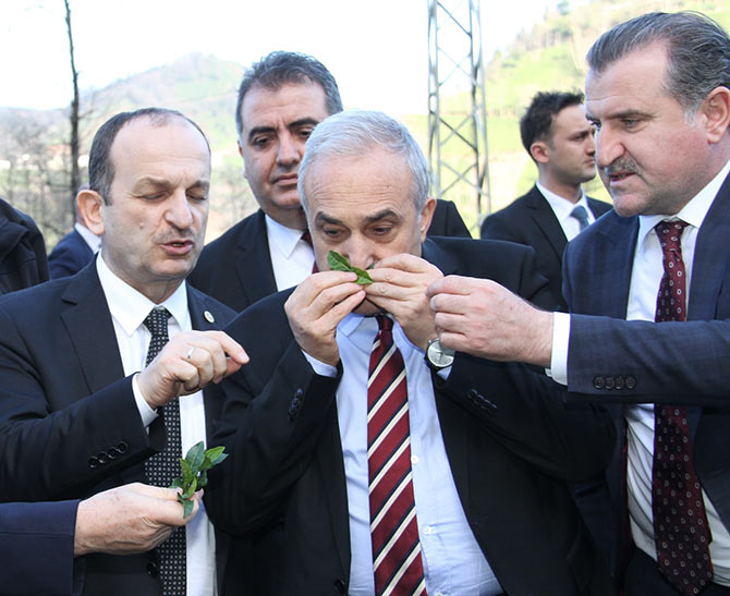 fakibaba2.jpg fakibaba2.jpg