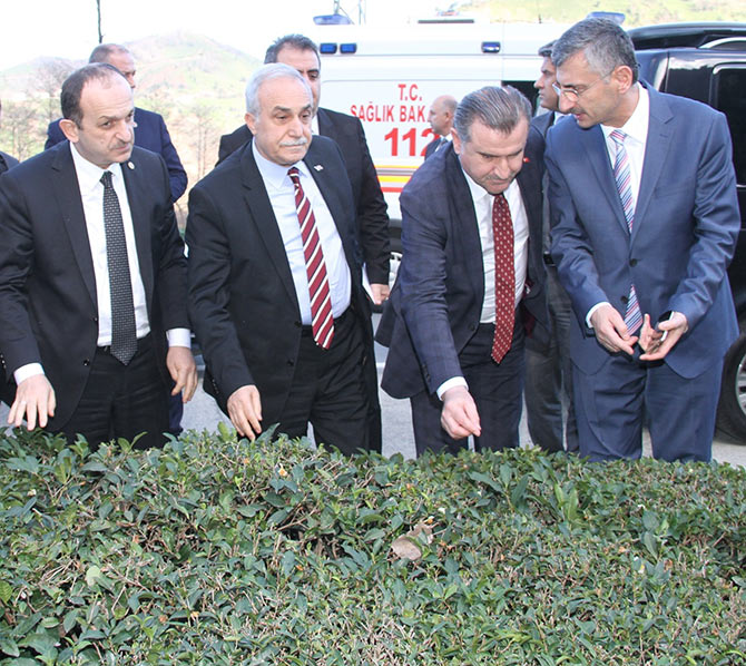 fakibaba3.jpg fakibaba3.jpg