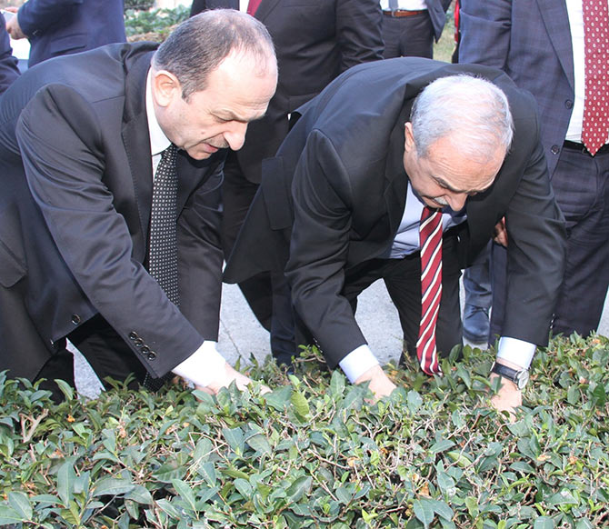 fakibaba4.jpg fakibaba4.jpg