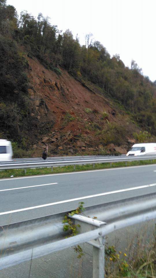 fb_img_1479930673594.jpg fb_img_1479930673594.jpg