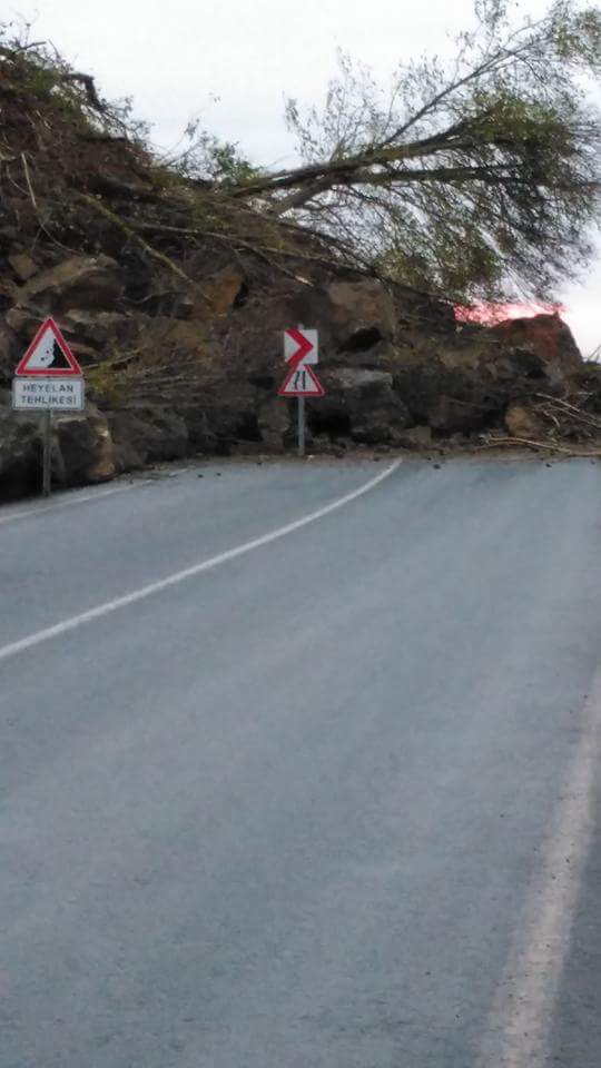 fb_img_1479930680482.jpg fb_img_1479930680482.jpg