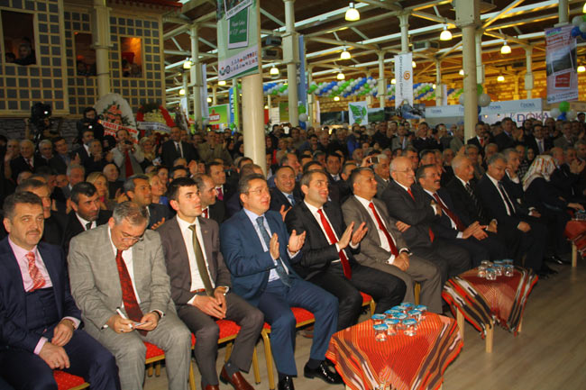 feshane1.jpg feshane1.jpg