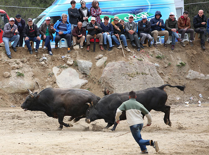 fest6-001.jpg fest6-001.jpg