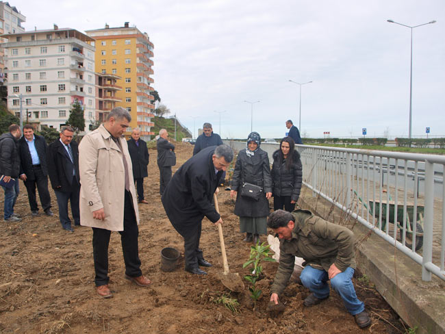 fidan1.20150307114134.jpg fidan1.20150307114134.jpg