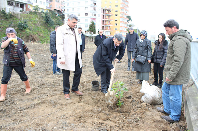 fidan2.20150307114125.jpg fidan2.20150307114125.jpg