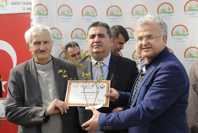 fidan2.20150427103613.jpg fidan2.20150427103613.jpg