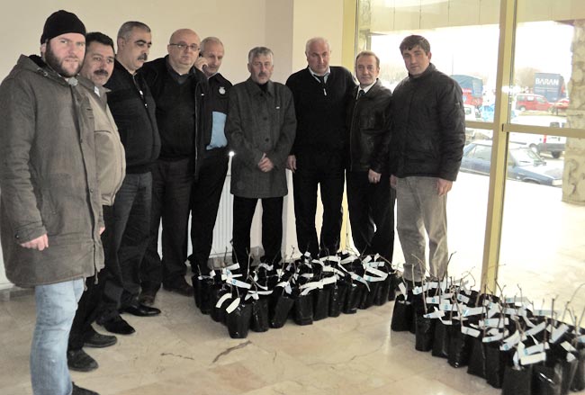 fidan2.jpg fidan2.jpg