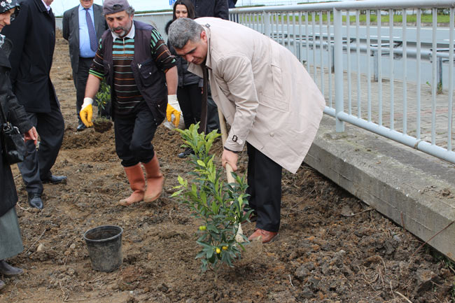 fidan3.20150307114112.jpg fidan3.20150307114112.jpg