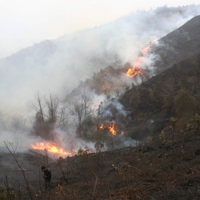 findiklidayangin1.jpg findiklidayangin1.jpg