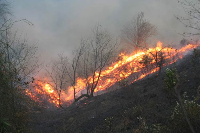 findiklidayangin3.jpg findiklidayangin3.jpg