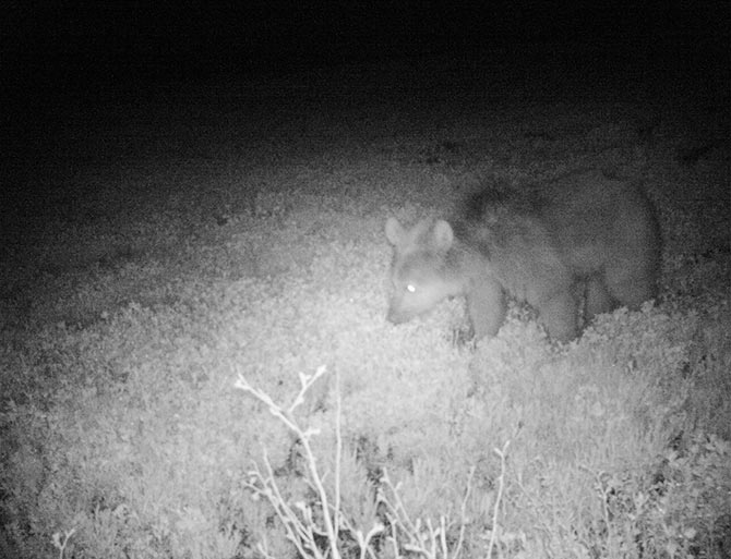 fotokapan1.jpg fotokapan1.jpg